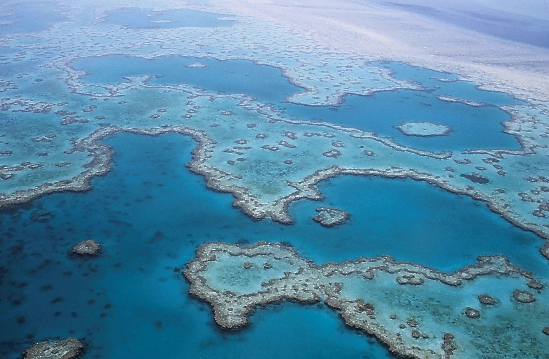 Australia larang tambang batu bara untuk lindungi Great Barrier Reef