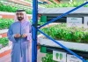 Pertanian hidroponik vertikal Dubai