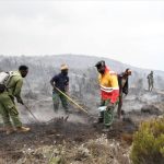 Kebakaran di Gunung Kilimanjaro