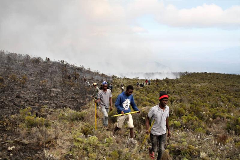 Kebakaran di Gunung Kilimanjaro