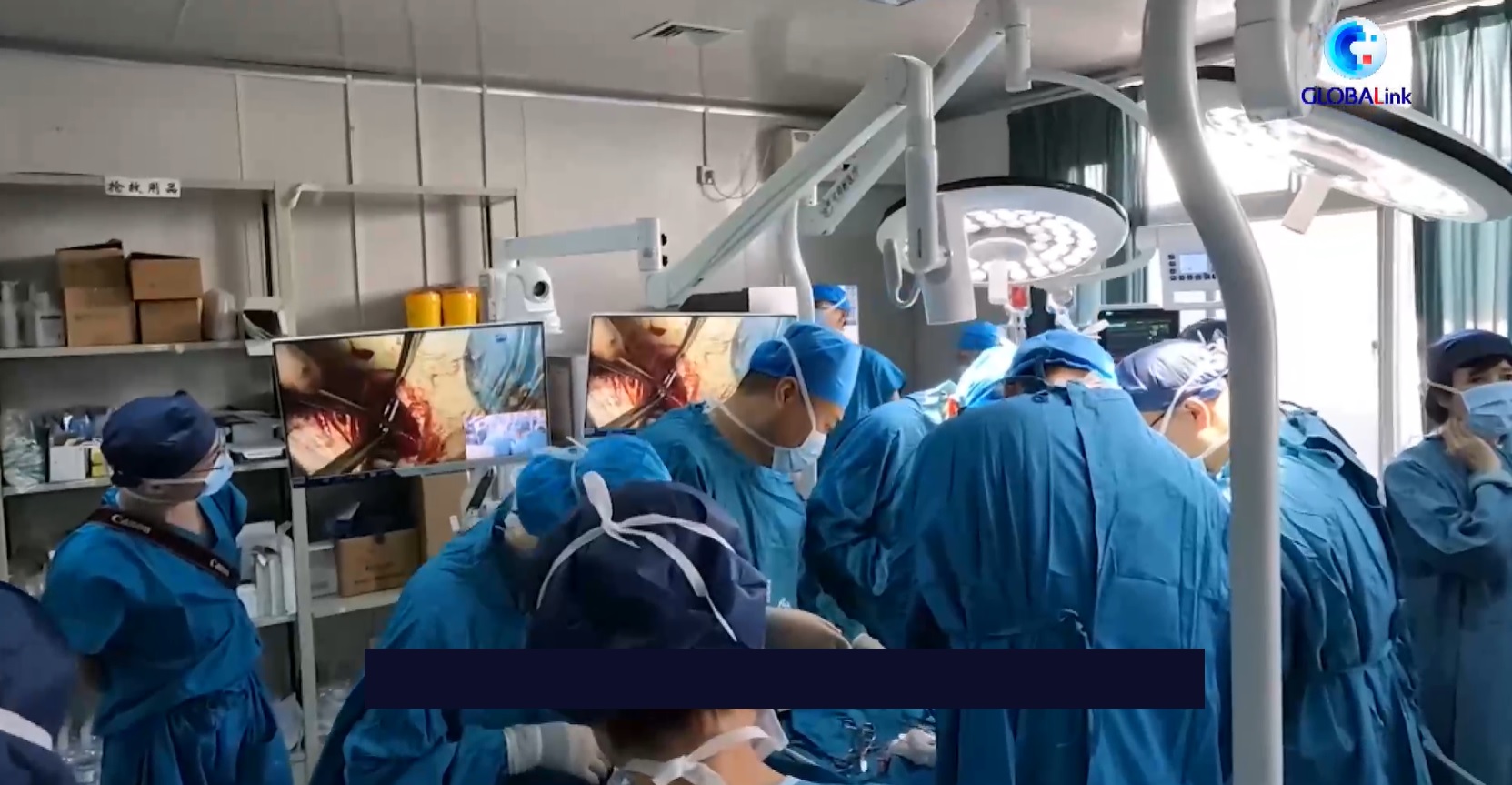 Transplantasi organ babi