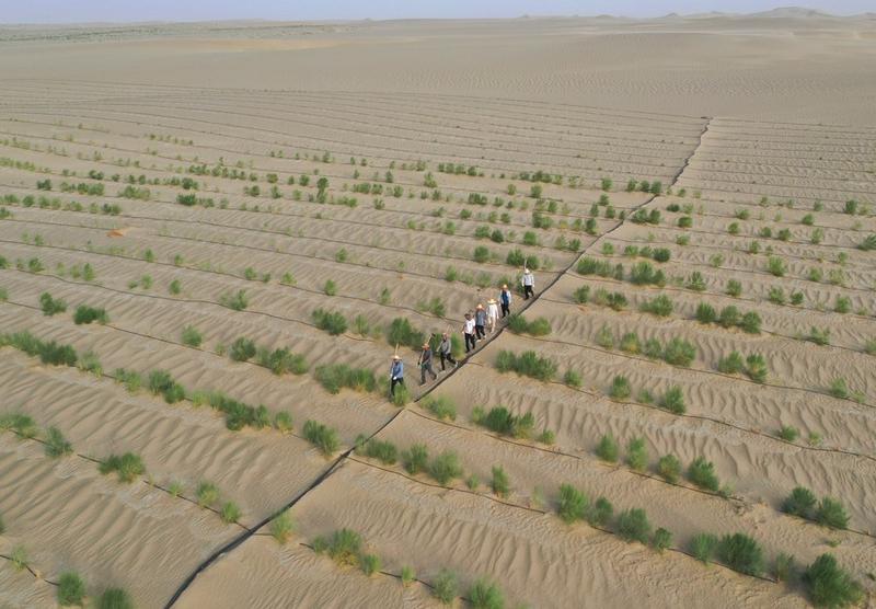 Gurun Taklimakan di Xinjiang