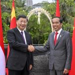 Komunitas China dan Indonesia