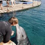 Dolphin Reef di Eilat