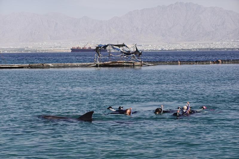 Dolphin Reef di Eilat