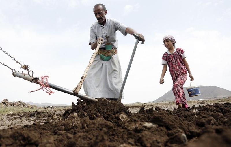 Program ketahanan pangan Yaman