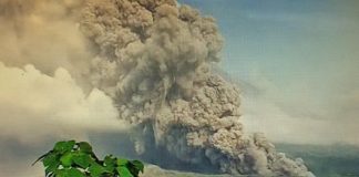 Gunungapi Semeru