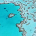 Pembekuan Great Barrier Reef