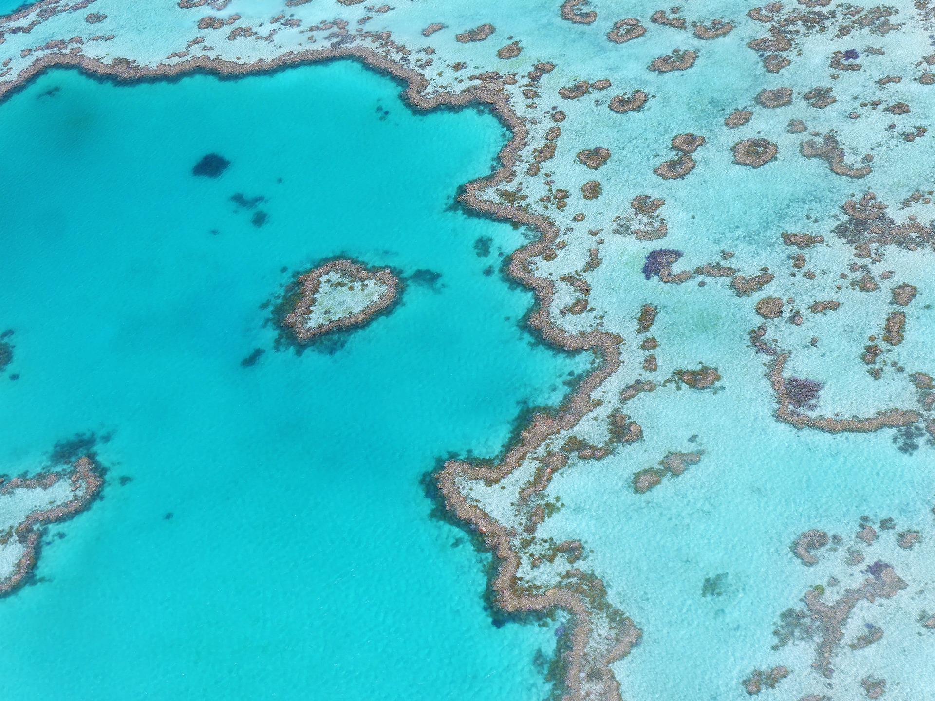 Pembekuan Great Barrier Reef
