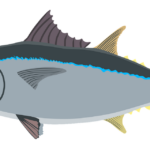 Pemijahan tuna sirip biru