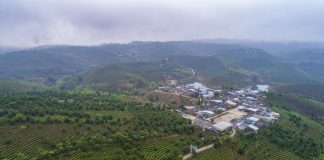 Upaya aforestasi China