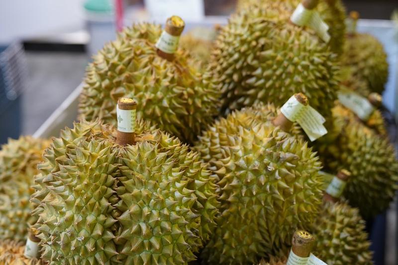 Protokol ekspor durian segar