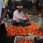 Harga tomat di India