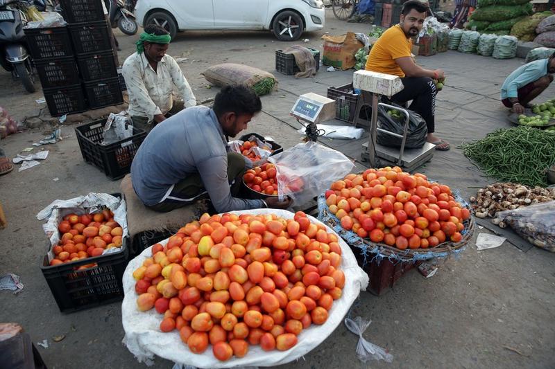 Harga tomat di India 