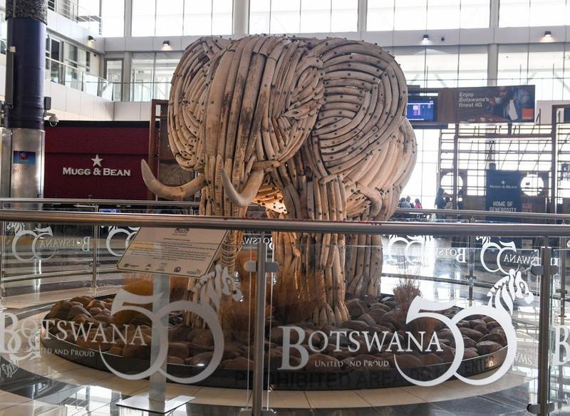 Populasi gajah di Botswana