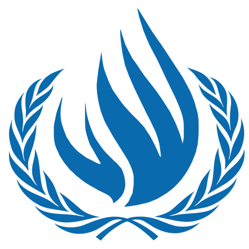 Anggota Dewan HAM PBB