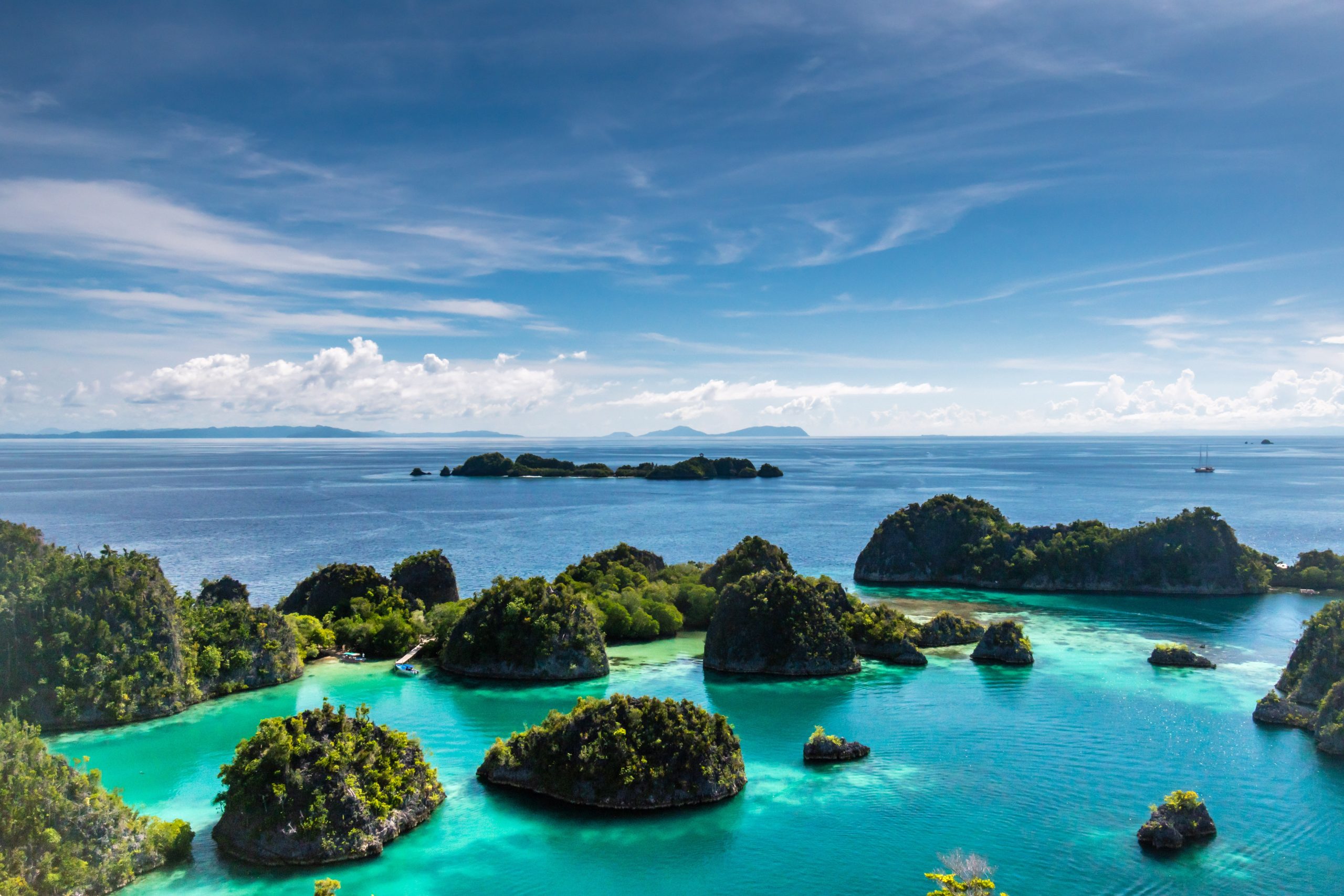 Indonesia's terrestrial biodiversity