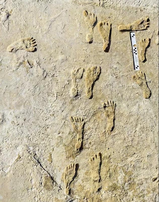Fosil jejak kaki manusia