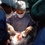 Peraturan transplantasi organ manusia