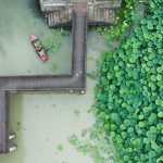 Foto dari udara ini menunjukkan seorang warga desa sedang mendayung perahu sambil mengumpulkan bunga dan dedaunan teratai untuk dijadikan suvenir khas setempat di Desa Quanxin yang terletak di Donglin, Huzhou, Provinsi Zhejiang, China timur, pada 16 Juni 2023. (Xinhua/Xu Yu)