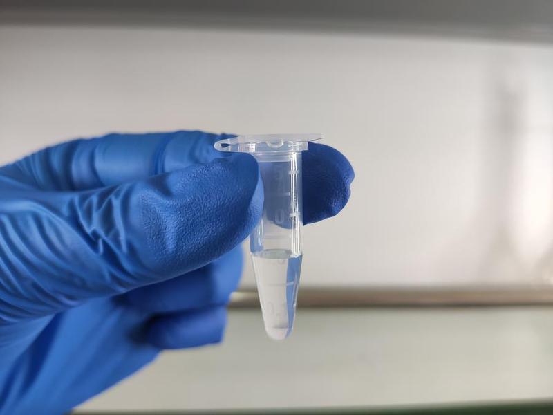 Perangkat nano DNA pintar