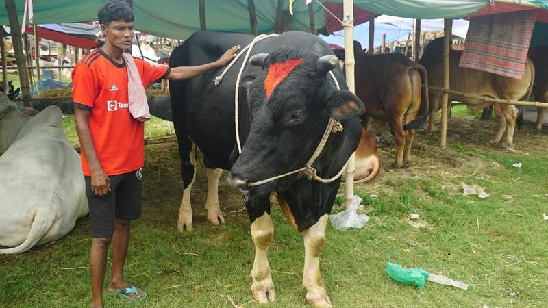 Pedagang ternak di Bangladesh