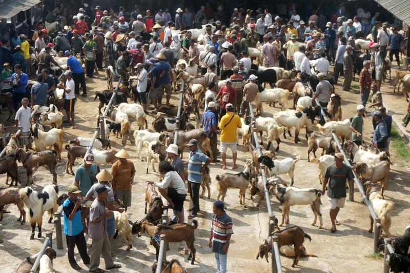 Idul Adha membawa kemakmuran