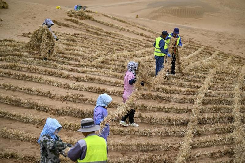 Pengelolaan gurun di China