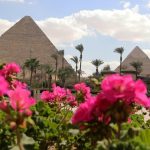Mesir berencana mengebor 110