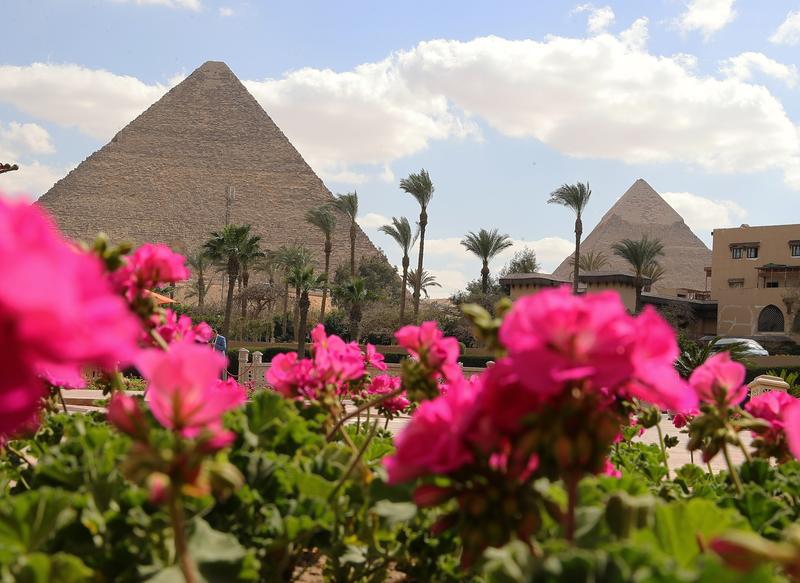 Mesir berencana mengebor 110
