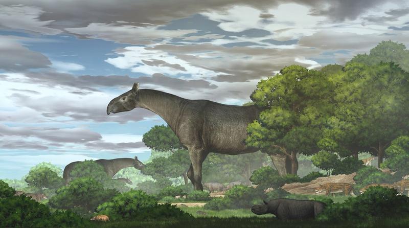 The earliest tyrannosaurs appeared