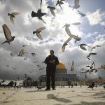 Kompleks Masjid Al-Aqsa