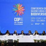 COP16 di Kolombia