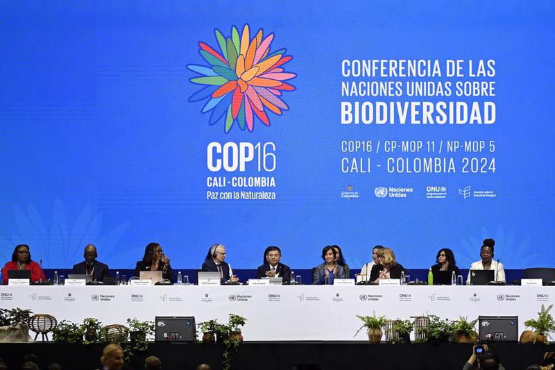 COP16 di Kolombia