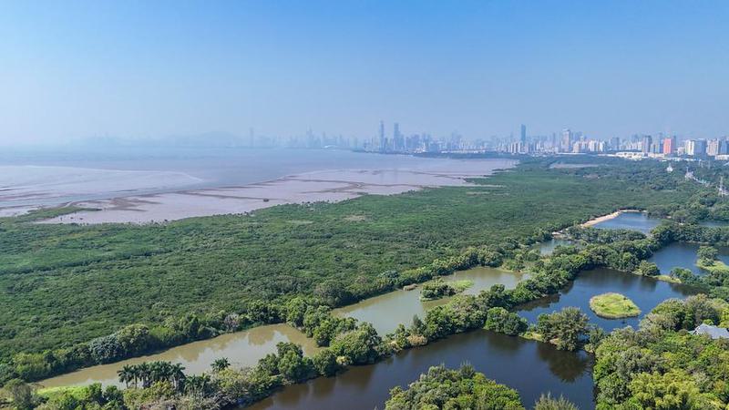 Mangrove berperan penting dalam