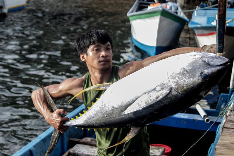 Indonesia saat ini membutuhkan