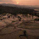 The black soil mapping