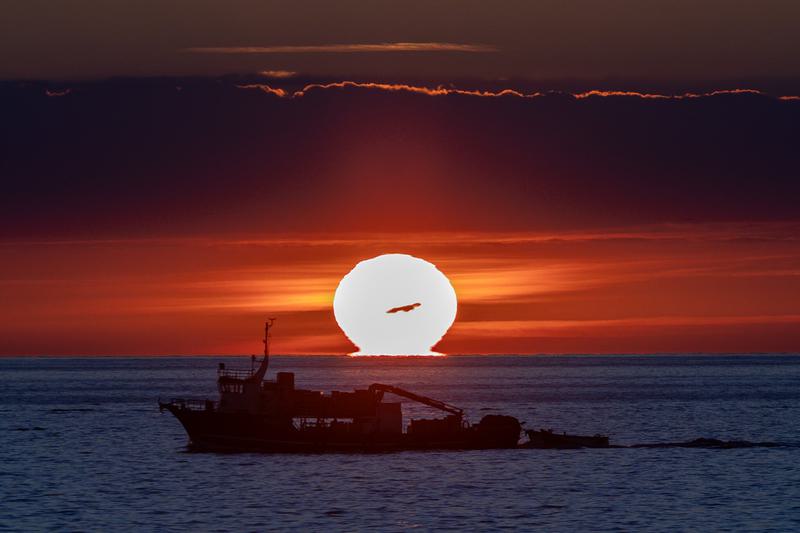 Kondisi pengasaman laut selama