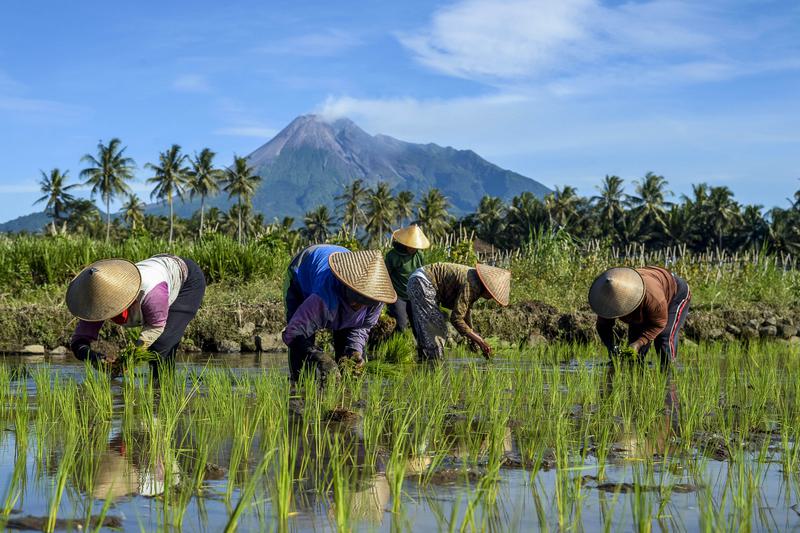 Keanggotaan BRICS memungkinkan Indonesia