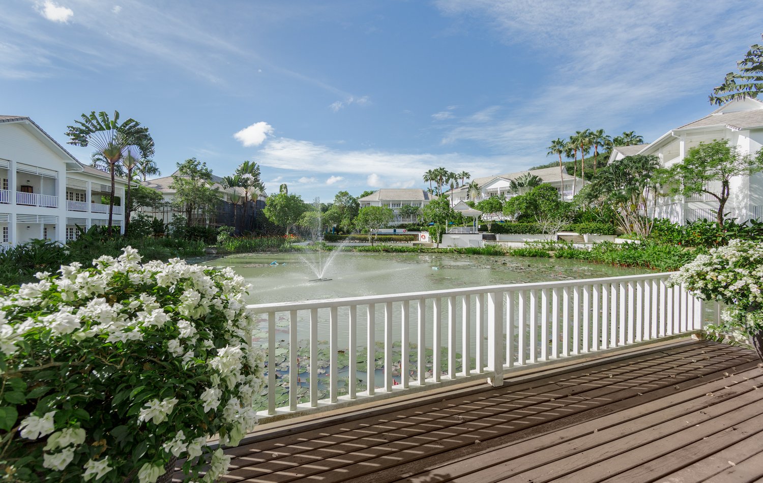 Property image - gallery 39