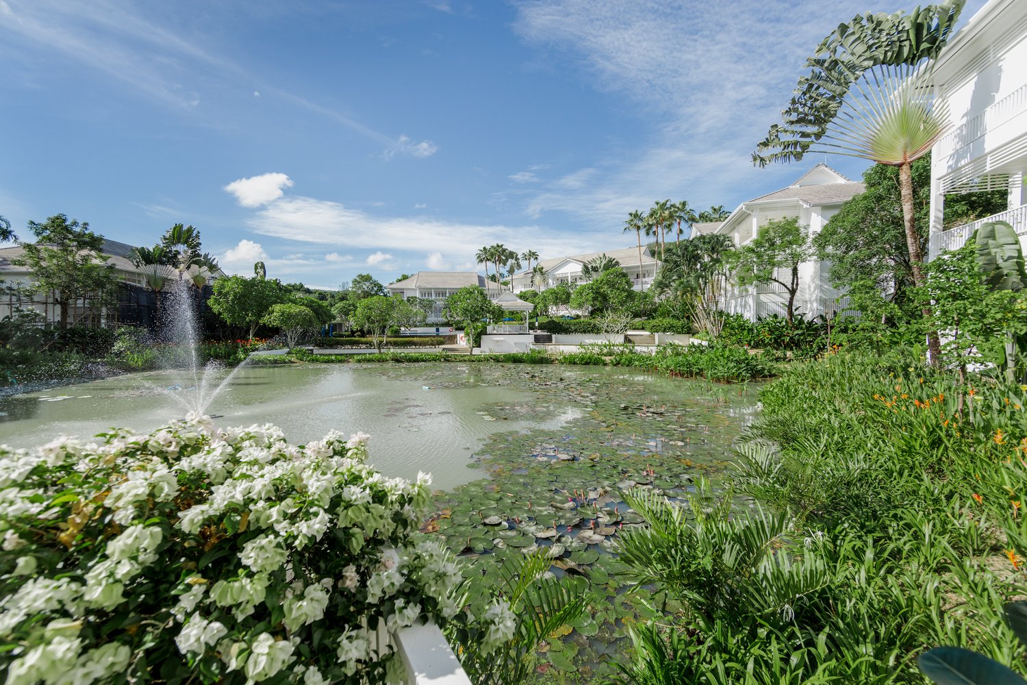 Property image - gallery 40