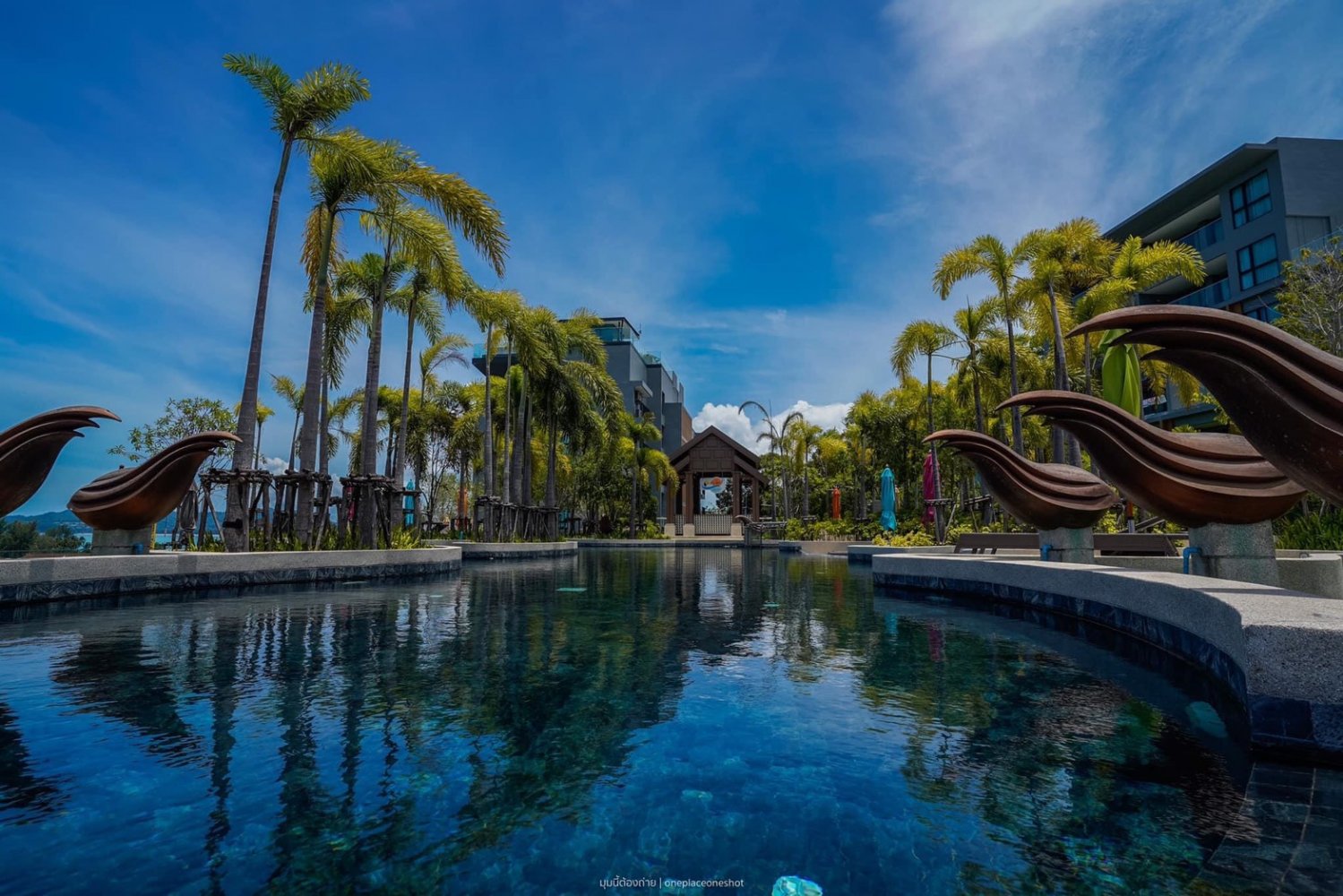 Property image - gallery 30