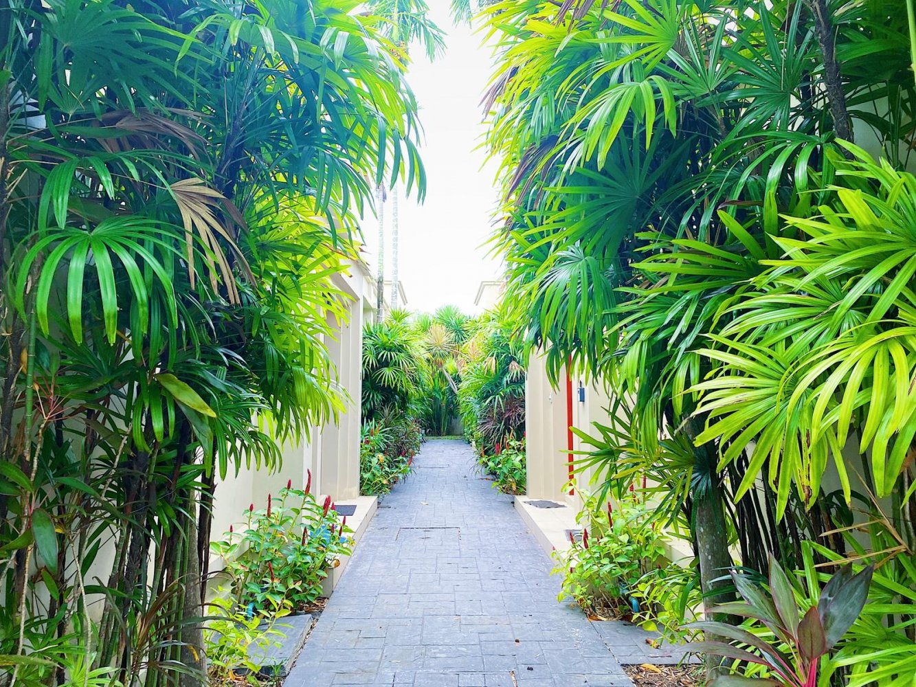 Property image - gallery 19