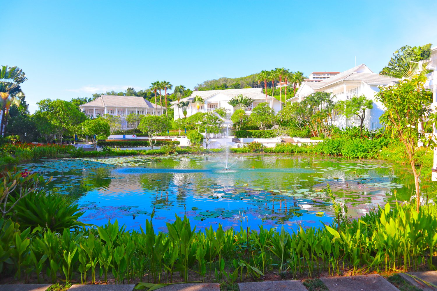 Property image - gallery 18