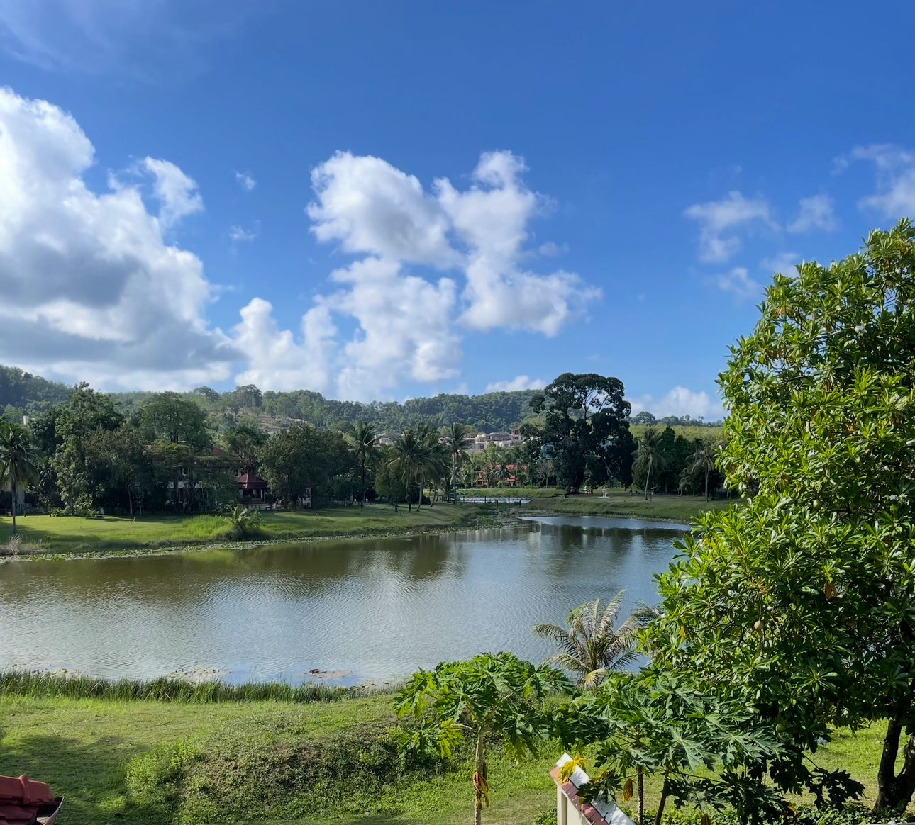 Property image - gallery 40