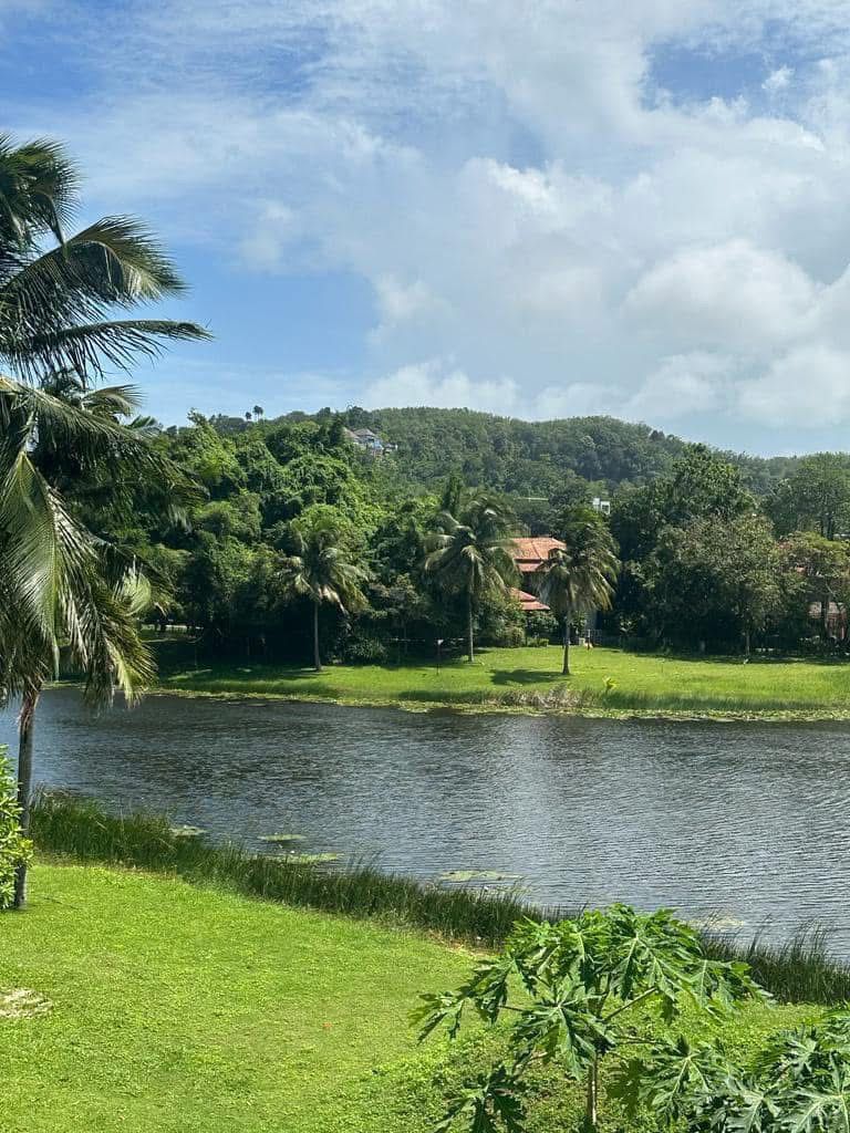 Property image - gallery 41