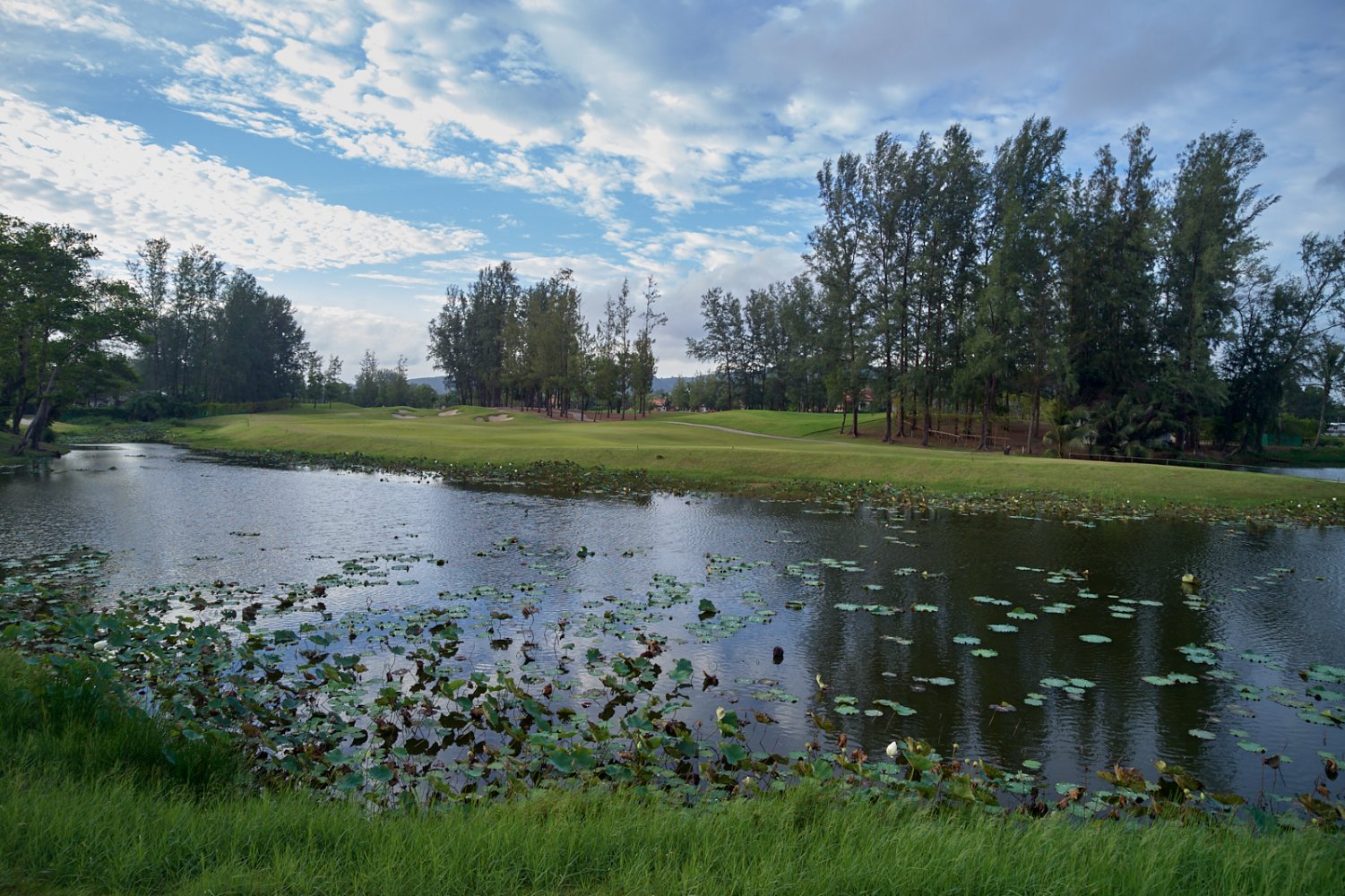 Property image - gallery 97