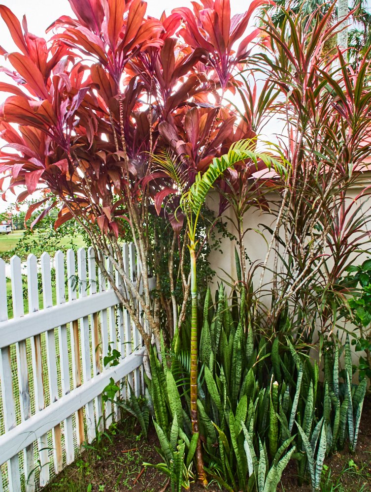 Property image - gallery 93