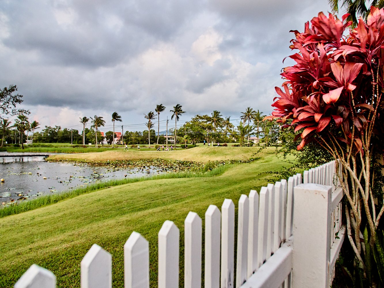 Property image - gallery 95