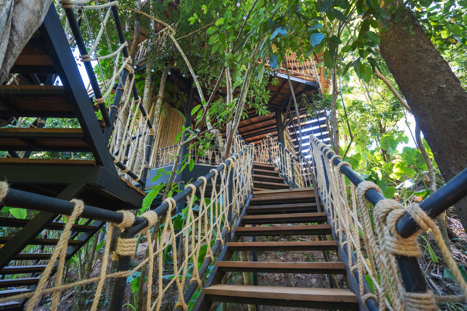 Property image - gallery 41